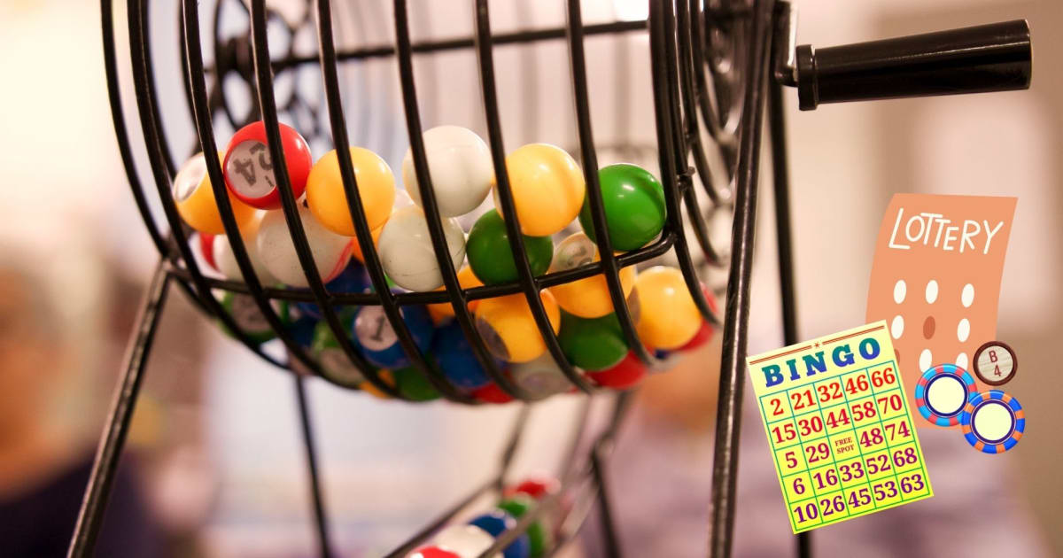 Szakértői vélemények a Bingo kontra lottóról